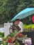 Image for MEMORIAL DAY 2025